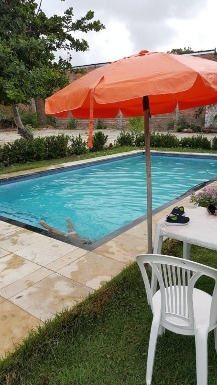 Toca do guaxinim room 1